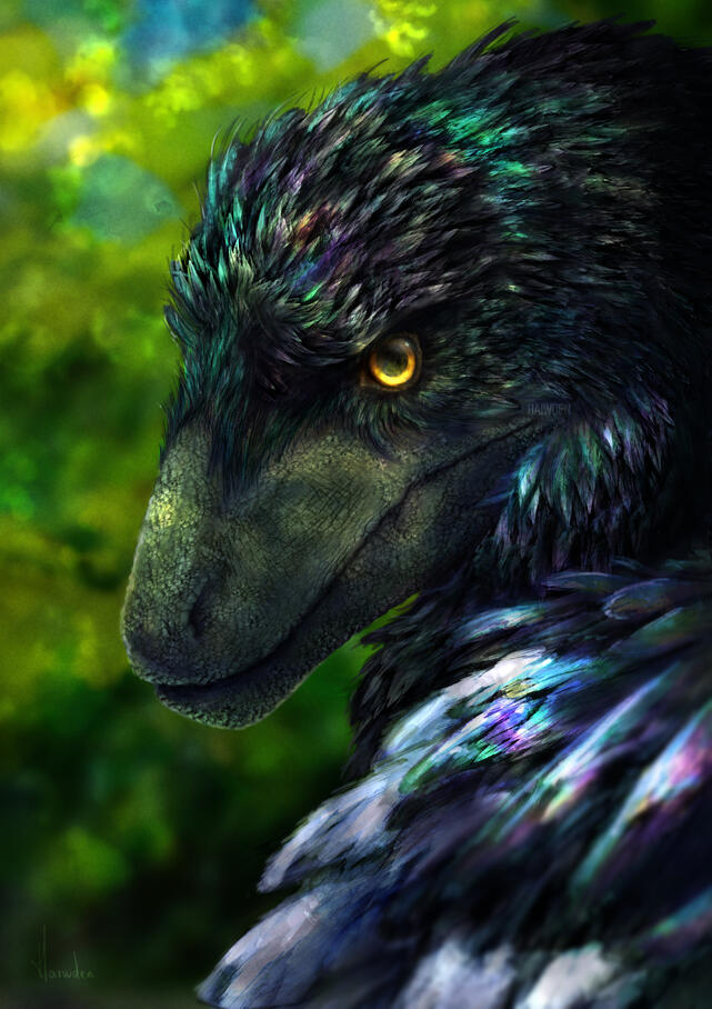Magpie Deinonychus, detailed portrait