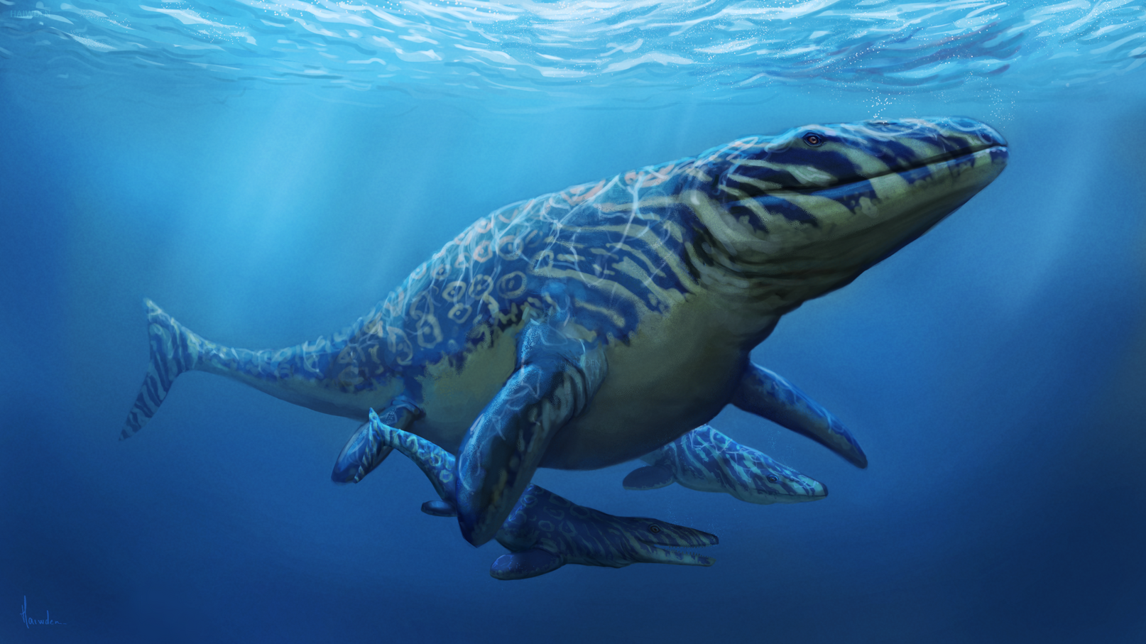 Mosasaurus, speedpainting