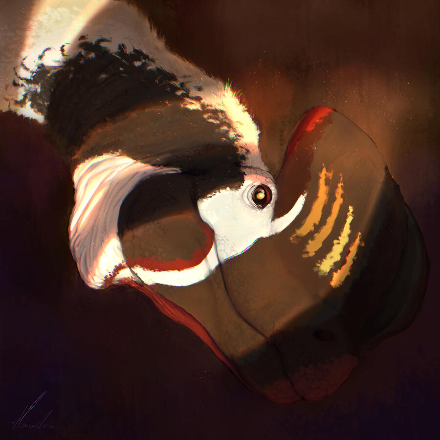 Speedpainted portrait & simple background